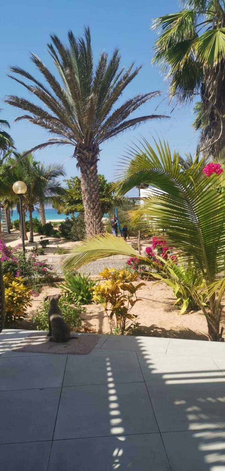 Beach Villa Am Praia De Chaves, Sal Rei, Boa Vista Dış mekan fotoğraf